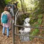 用水路の脇に設けられた遊歩道