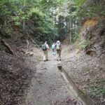 今にも熊が現れそうな山道だが舗装整備されている