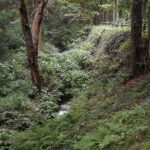 眼下の沢に自然の用水路