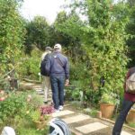 園内の散策（２）