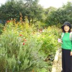 園内の散策（３）